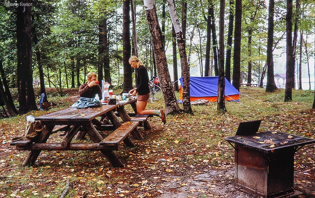 Camp in bush