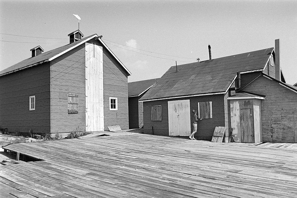 Abandoned Fish Plant buildings