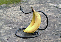 Banana holder