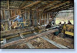 Vern setting up to Mill two logs.