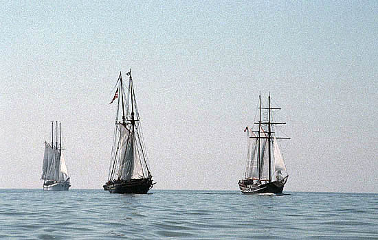 Three tall ships